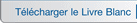 Télécharger le Livre Blanc : Archivage de Data Warehouse – Un moyen d’optimiser les performances des Data Warehouses et de réduire les coûts
